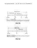 INFORMATION PROCESSING APPARATUS AND METHOD, PROGRAM AND RECORDED MEDIUM diagram and image