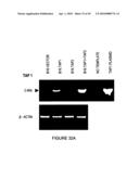 METHOD OF ENHANCING AN IMMUNE RESPONSE diagram and image