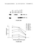 METHOD OF ENHANCING AN IMMUNE RESPONSE diagram and image