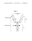 MUTANT POLYPEPTIDE HAVING EFFECTOR FUNCTION diagram and image