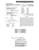 WSTF REGULATES THE DNA DAMAGE RESPONSE OF H2A.X VIA NOVEL TYROSINE KINASE ACTIVITY diagram and image