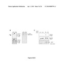 WSTF REGULATES THE DNA DAMAGE RESPONSE OF H2A.X VIA NOVEL TYROSINE KINASE ACTIVITY diagram and image