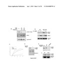 WSTF REGULATES THE DNA DAMAGE RESPONSE OF H2A.X VIA NOVEL TYROSINE KINASE ACTIVITY diagram and image