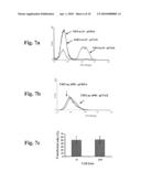 Compositions capable of specifically binding particular human antigen presenting molecule/pathogen-derived antigen complexes and uses thereof diagram and image