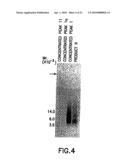 Preparation of a Therapeutic Composition diagram and image