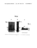 Preparation of a Therapeutic Composition diagram and image