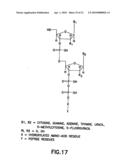 Preparation of a Therapeutic Composition diagram and image