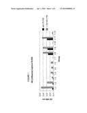 METHOD TO ENHANCE AN IMMUNE RESPONSE OF NUCLEIC ACID VACCINATION diagram and image