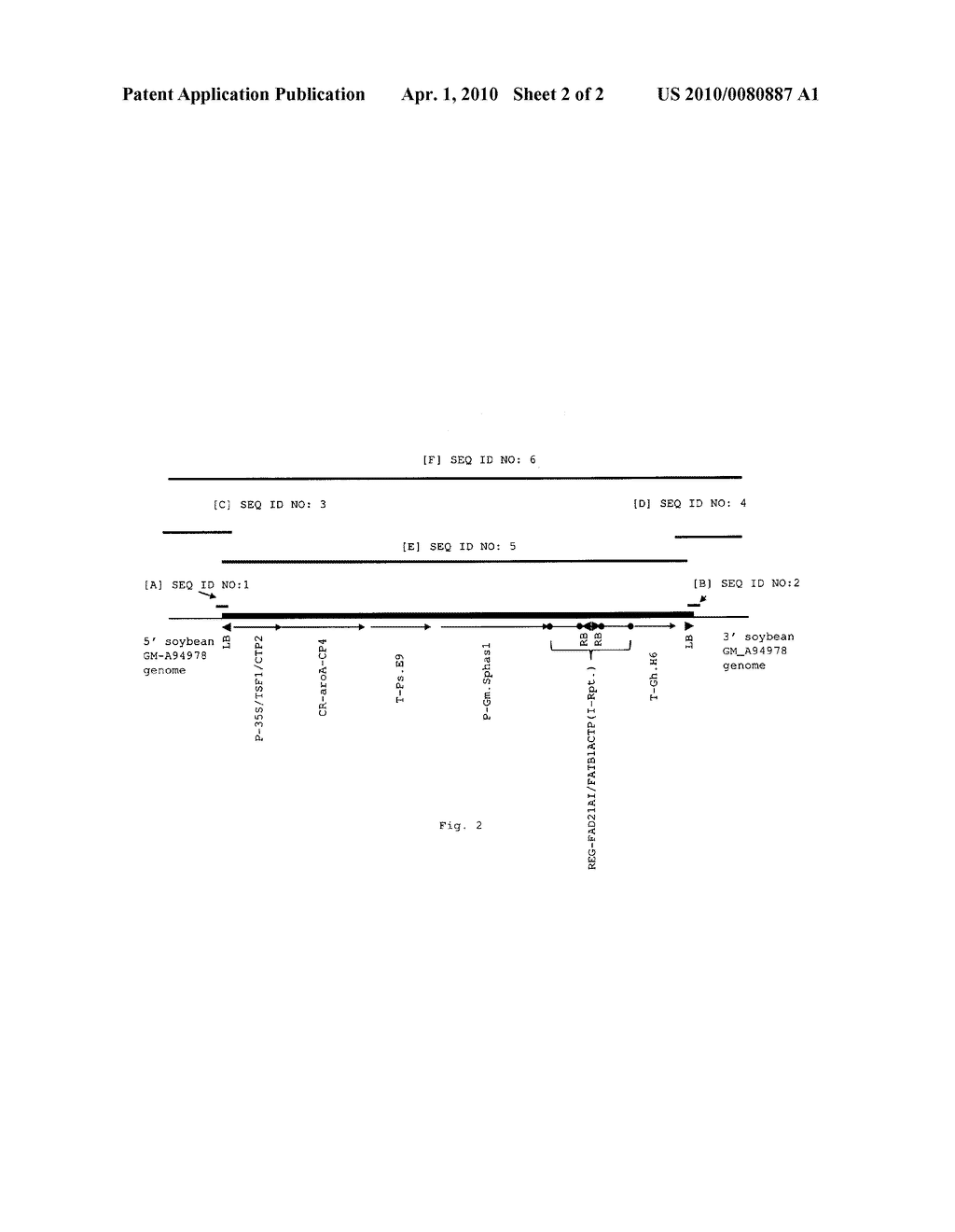 Soybean Transgenic Event MON87705 and Methods for Detection Thereof - diagram, schematic, and image 03