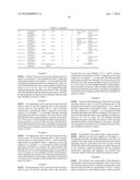 BIAXIALLY STRETCHED POLYAMIDE RESIN FILM AND PRODUCTION METHOD THEREOF diagram and image