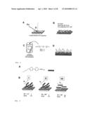 Devices and methods for analyte detection using distorted liquid crystals diagram and image