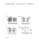 Devices and methods for analyte detection using distorted liquid crystals diagram and image