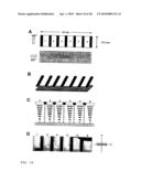 Devices and methods for analyte detection using distorted liquid crystals diagram and image