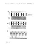 Devices and methods for analyte detection using distorted liquid crystals diagram and image