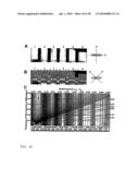 Devices and methods for analyte detection using distorted liquid crystals diagram and image