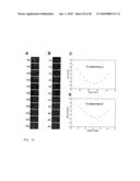 Devices and methods for analyte detection using distorted liquid crystals diagram and image