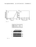 Devices and methods for analyte detection using distorted liquid crystals diagram and image