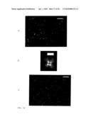 Devices and methods for analyte detection using distorted liquid crystals diagram and image