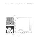 System and Method of Chemical Imaging Using Pulsed Laser Excitation and Time-Gated Detection to Determine Tissue Margins During Surgery diagram and image