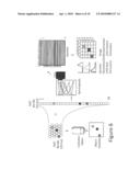 System and Method of Chemical Imaging Using Pulsed Laser Excitation and Time-Gated Detection to Determine Tissue Margins During Surgery diagram and image