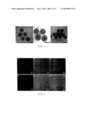 Multifunctional particles providing cellular uptake and magnetic motor effect diagram and image