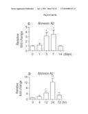 BIOMARKERS FOR KIDNEY DISEASES AND METHOD FOR USING SAME diagram and image