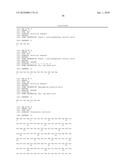 MODIFIED PHOTOSYNTHETIC MICROORGANISMS FOR PRODUCING TRIGLYCERIDES diagram and image