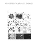 Generation of mature myelomonocytic cells through expansion and differentiation of pluripotent stem cell-derived lin-CD34+CD43+CD45+progenitors diagram and image