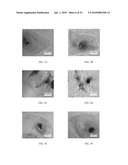 FORMULATIONS AND METHODS FOR CULTURING STEM CELLS diagram and image