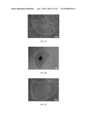 FORMULATIONS AND METHODS FOR CULTURING STEM CELLS diagram and image