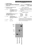 METHODS AND COMPOSITIONS FOR ENHANCING MEMORY diagram and image