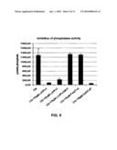 SELECTIVE PEPTIDES THAT INHIBIT THE BIOLOGICAL ACTIVITY OF CALCINEURIN diagram and image