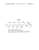 POLYMERIC NUCLEOSIDE PRODRUGS diagram and image