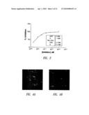 REVERSE-TURN MIMETICS AND METHOD RELATING THERETO diagram and image