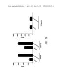 REVERSE-TURN MIMETICS AND METHOD RELATING THERETO diagram and image