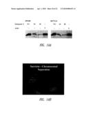 REVERSE-TURN MIMETICS AND METHOD RELATING THERETO diagram and image