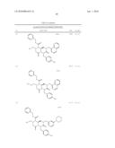 REVERSE-TURN MIMETICS AND METHOD RELATING THERETO diagram and image