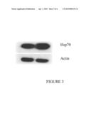 INDOLE COMPOUNDS AND THEIR USE AS RADIATION SENSITIZING AGENTS AND CHEMOTHERAPEUTIC AGENTS diagram and image