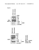 TRI-DEMETHYLATION-CAPABLE PROTEIN COMPLEX, METHOD OF ITS PREPARATION AND ITS USE diagram and image