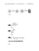 DIVALENT METAL-ION LOADED NANO-TRANSPORT SYSTEM HAVING A DENDRITIC ARCHITECTURE USEFUL FOR THERAPY diagram and image