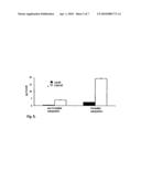 DIVALENT METAL-ION LOADED NANO-TRANSPORT SYSTEM HAVING A DENDRITIC ARCHITECTURE USEFUL FOR THERAPY diagram and image