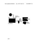 DIVALENT METAL-ION LOADED NANO-TRANSPORT SYSTEM HAVING A DENDRITIC ARCHITECTURE USEFUL FOR THERAPY diagram and image