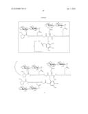 Homogeneous Erythropoietin and Other Peptides and Proteins, Methods and Intermediates for Their Preparation diagram and image