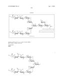 Homogeneous Erythropoietin and Other Peptides and Proteins, Methods and Intermediates for Their Preparation diagram and image