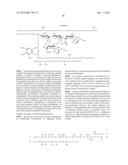 Homogeneous Erythropoietin and Other Peptides and Proteins, Methods and Intermediates for Their Preparation diagram and image