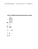 Ligand diagram and image