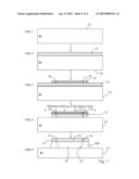 FABRICATION AND USE OF SUBMICRON WIDE SUSPENDED STRUCTURES diagram and image