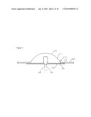 LIGHT EMITTING DIODE MODULE ILLUMINATING LAMP diagram and image