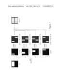 HOLOGRAPHIC IMAGE DISPLAY SYSTEMS diagram and image