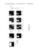 HOLOGRAPHIC IMAGE DISPLAY SYSTEMS diagram and image